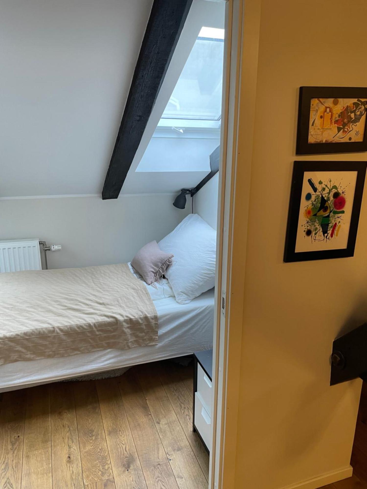 Stroken Loftleilighet Midt I Oslo. 外观 照片