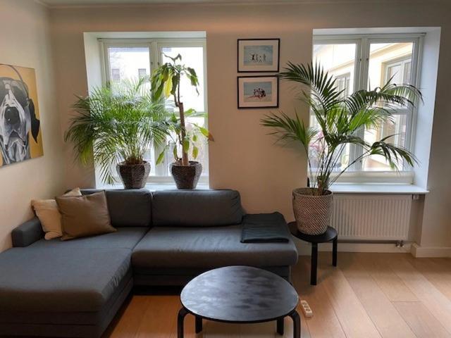 Stroken Loftleilighet Midt I Oslo. 外观 照片